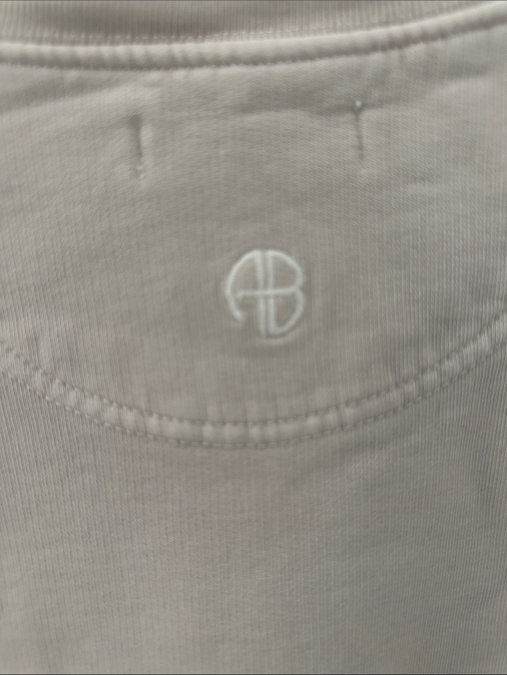 Anine Bing Tiger Sweatshirt in Stone Large - Picture 7 of 12